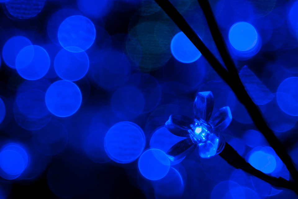 Researchers from the University of Surrey Find that Blue Light Can